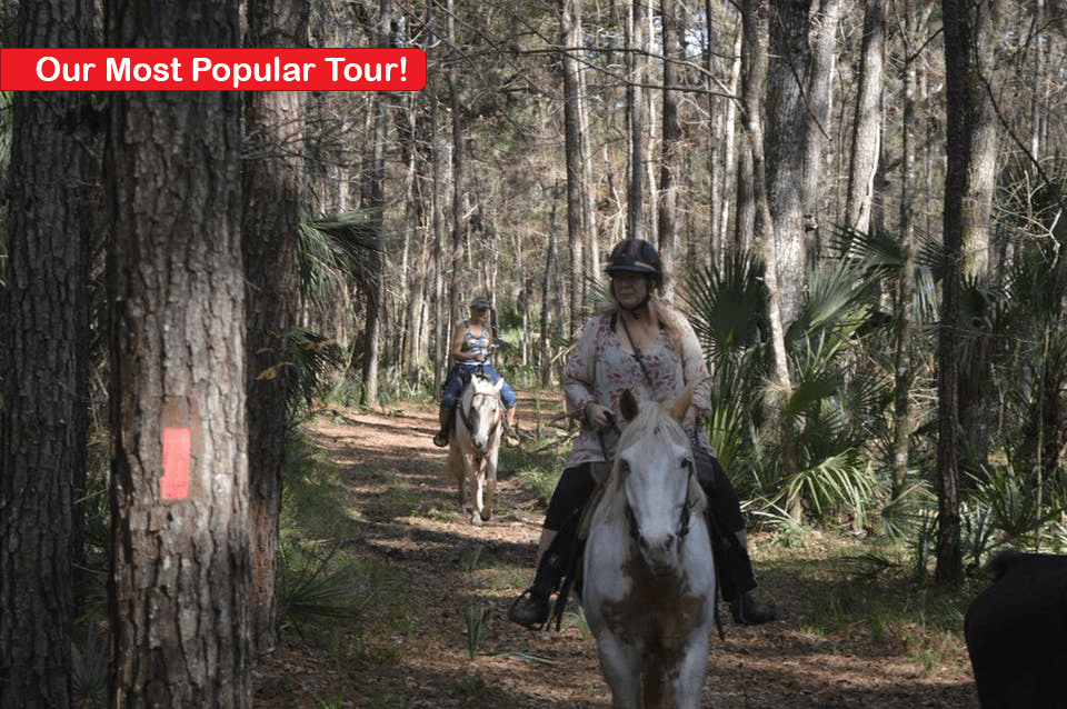 Horseback most popular ride