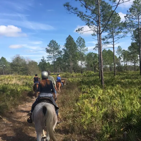 Horseback trail ride with a group