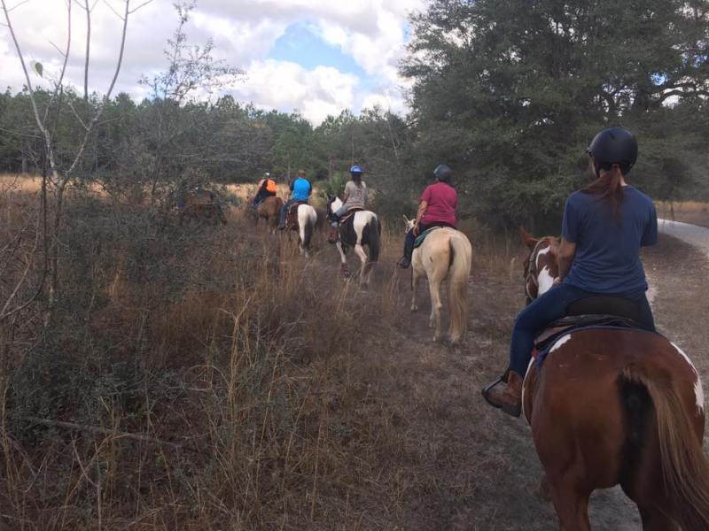 Horseback tour
