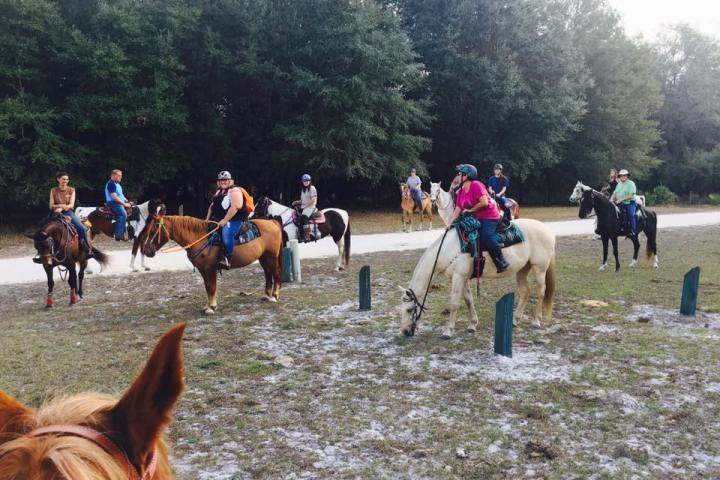 Horseback ride group tour, one is stopping to eat
