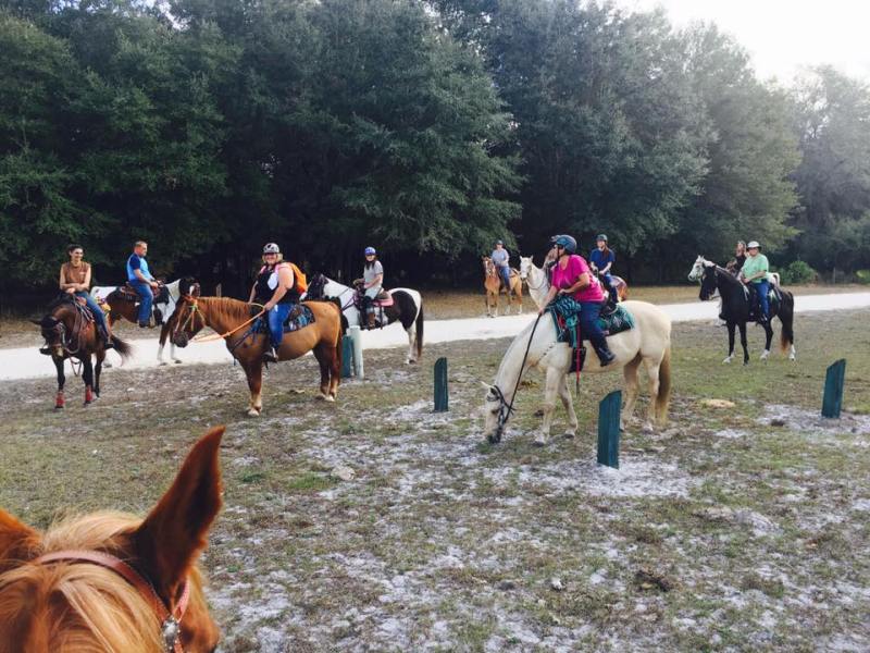 Horseback ride group tour, one is stopping to eat