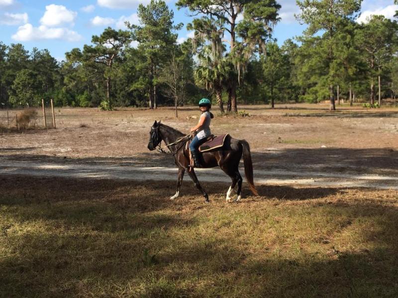 Horseback tour in Central Florida