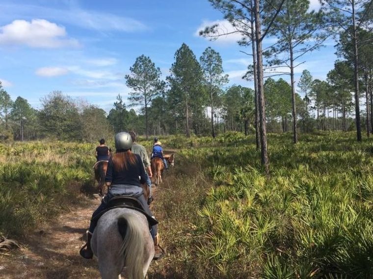 Horseback trail ride on a tour of Florida
