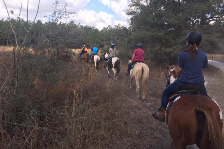 Horseback ride in a group