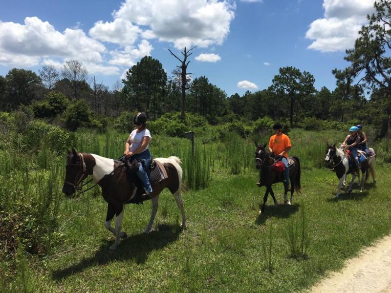Horseback ride, four people and clear blue skies