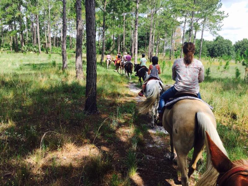 Horseback ride on a trail with several riders