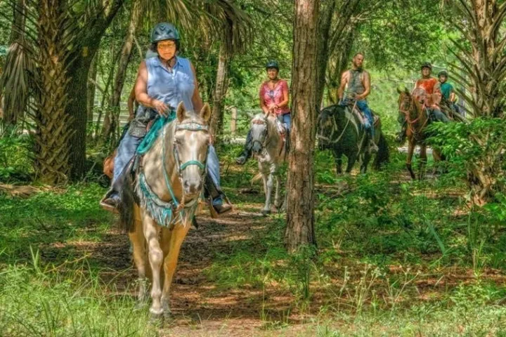 Horseback ride through Central Florida's beautiful landscape