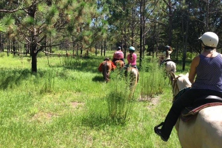 Guided Trail Ride image