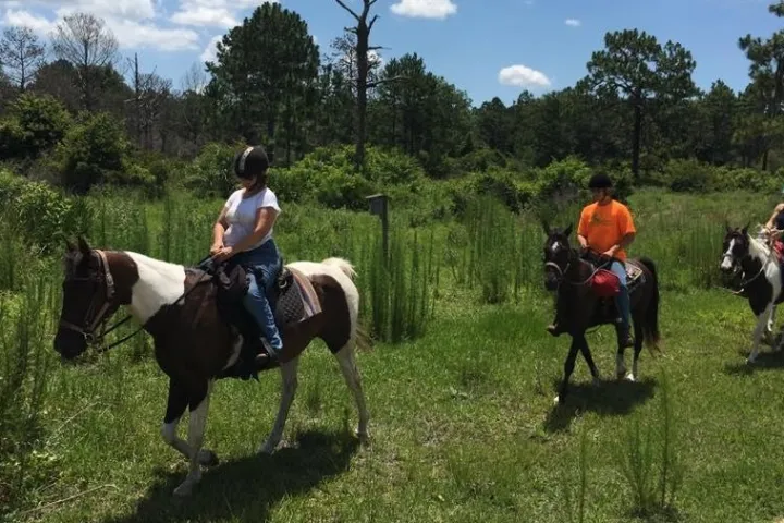 Horseback ride in a group for some new riders